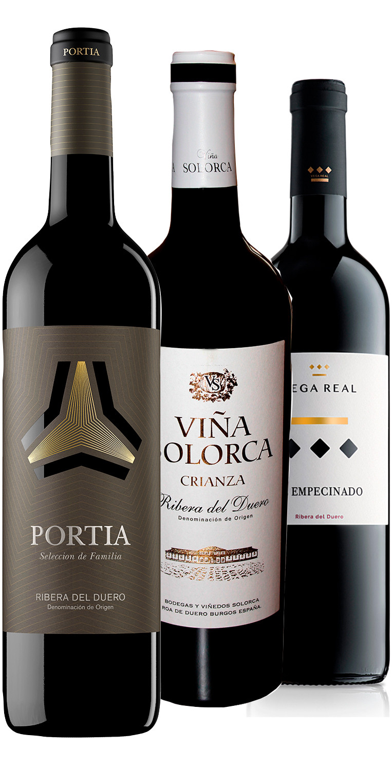 Collection Ribera del Duero – LE BON RAISIN