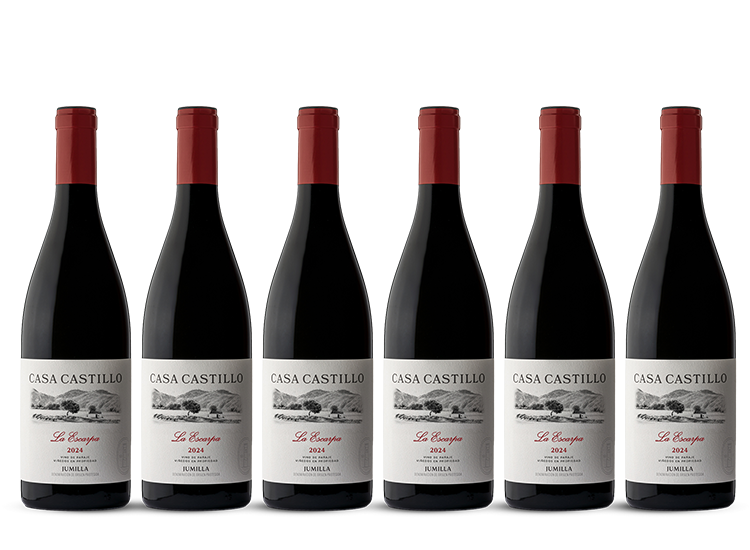 Casa Castillo La Escarpa 2024 