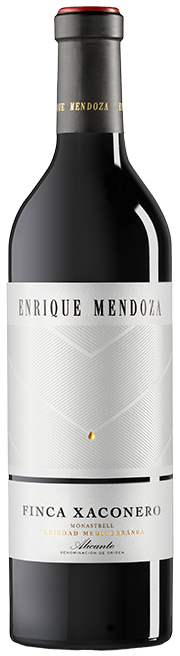 Enrique Mendoza Finca Xaconero 2022
