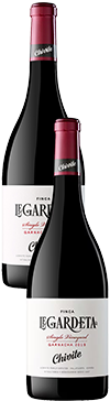 Finca Legardeta Garnacha 2019 y Finca Legardeta Garnacha 2020