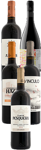 Colección Familia Fernández Rivera 2026